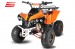 warrior 125cc