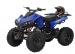 PRODUS NOU Atv  Nitro Quad War