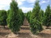 produse bio