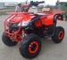   PROMOTIE   ATV NITRO MOTORS T REX
