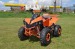   PROMOTIE   ATV NITRO MOTORS WARRIO