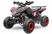   PROMOTIE   ATV NITRO MOTORS RIZZOR