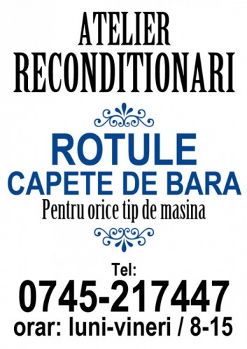 Reconditionari rotule  capete 