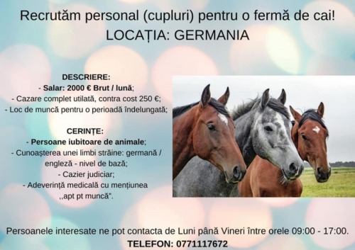 Recrutam cupluri pentru o ferm