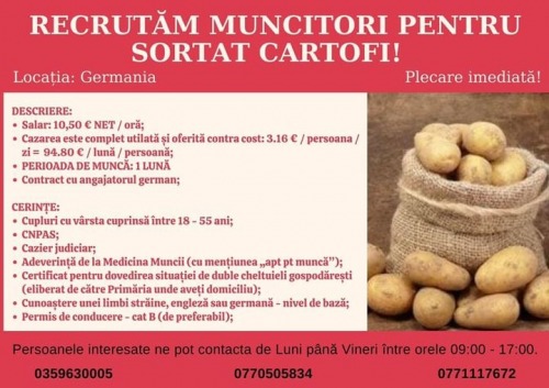 Recrutam muncitori pentru sort