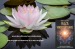 Reiki   i dezvoltare personal  