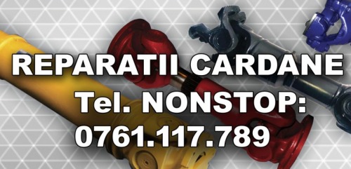 Reparatie Cardan FORD TRANSIT
