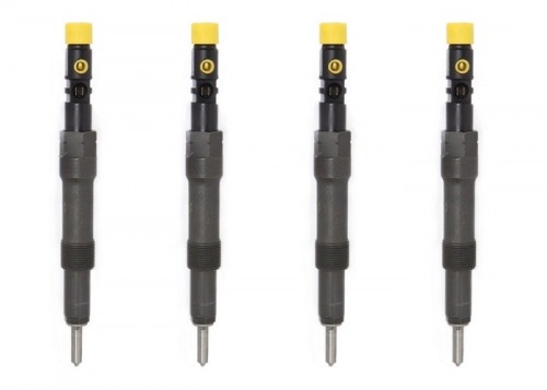 Reparatii injectoare Delphi