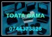 Riboane compatibile  Epson  Br