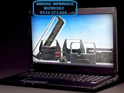 Riboane matriciale Citizen 350
