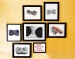 negre pentru