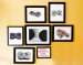 monocrom