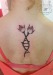Salon tatuaje Bucuresti - TH T