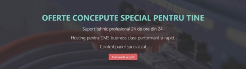 Servere dedicate pentru web si