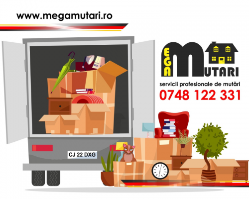 SERVICII PROFESIONALE DE MUT  