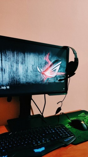 SETUP Extreme GAMING      ASUS