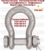 Shackles omega  cu bolt
