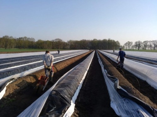 Sofer ferma agricola Germania