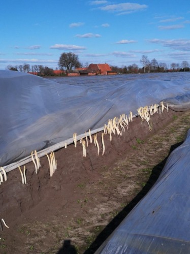 Sofer ferma agricola Germania