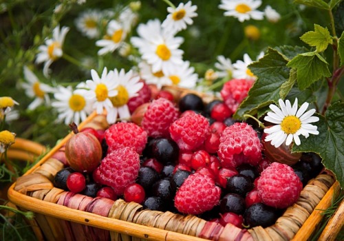 sortat fructe de padure german