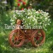 Suport flori Bicicleta tractor