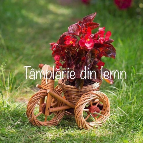 Suport flori Bicicleta tractor