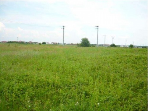 Teren 1017 mp  Snagov  Gherman