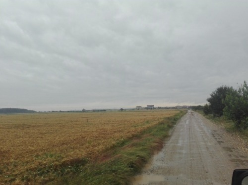 Teren 15.000 mp  Sat Ostratu  