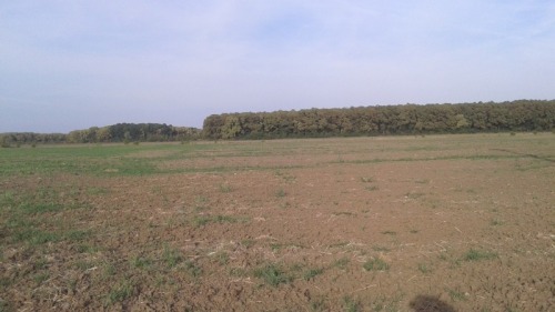 Teren 19 078.19 m.p.  Buftea