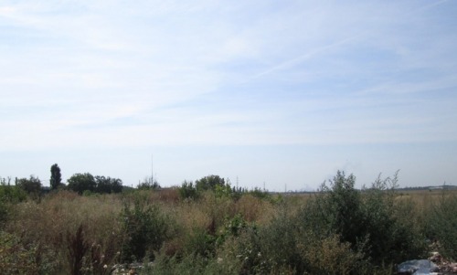 Teren 4 000 mp  Buftea
