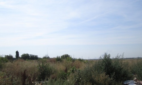 Teren 4 000 mp  Buftea