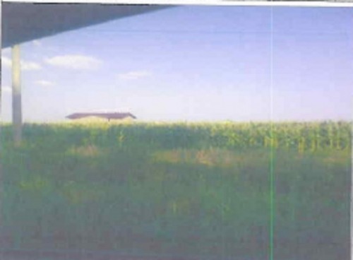 Teren 5.500 mp  Vidra  Ilfov