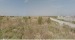 zona orasului