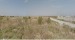 zona orasului