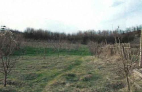 Teren 7.500 mp  Valea Mare  Ar