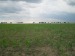 agricola de