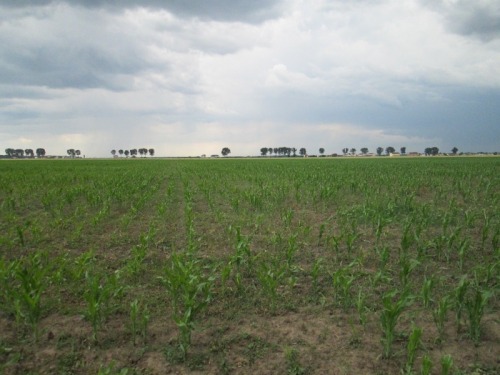 Teren agricol 5 000 mp in Clin