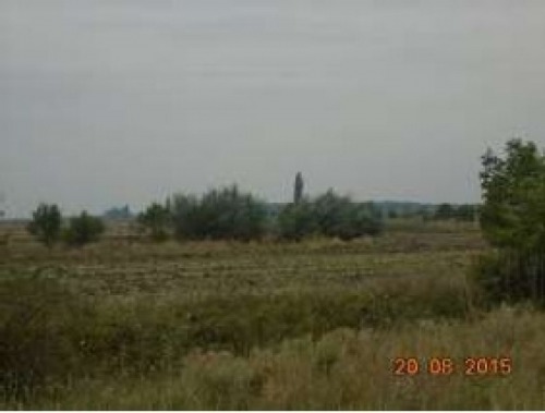 Teren arabil 14.880 mp  Otopen
