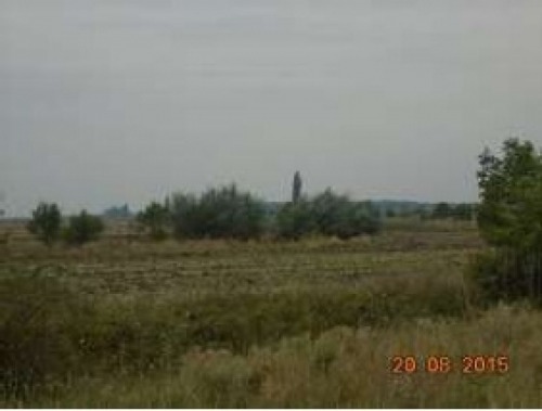 Teren arabil 14.880 mp  Otopen