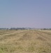Teren Br  ila  zona centur     45.026 mp