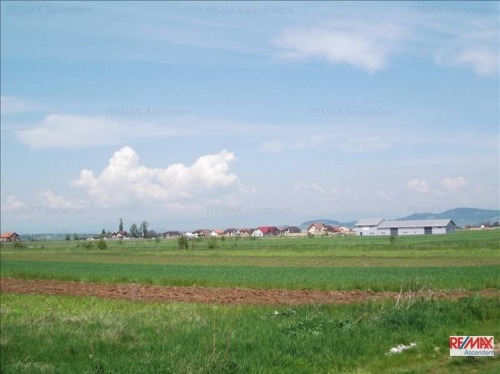 Teren extravilan conditii avan