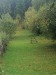 Teren intravilan  2569mp   Sto