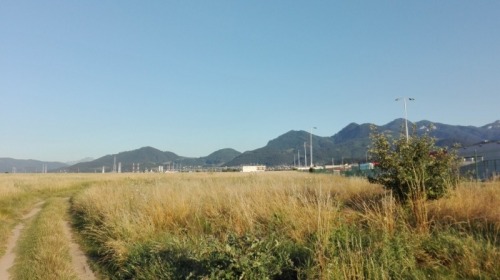 Teren intravilan (7 loturi) 36