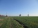 Teren intravilan(Ilfov)  7000m