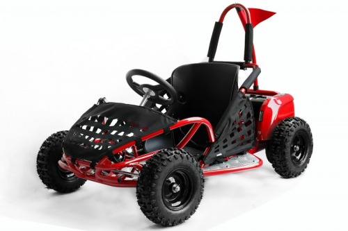 UTV BUGGY GOKART ELECTRIC 1000
