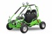 UTV Nitro Motors Buggy OffRoad