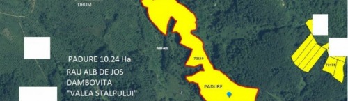 Vand padure netaiata 10.24Ha f