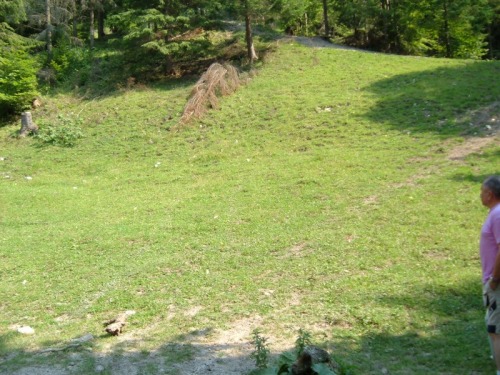 Vand teren Dambovicioara Cioca