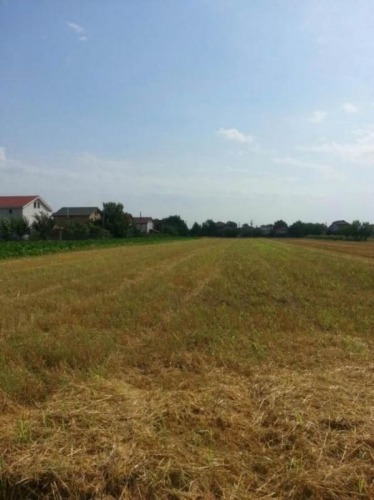 Vand teren
