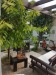Vila 423mp LUX Otopeni IF  550
